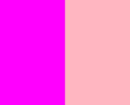 Chameleon Magenta